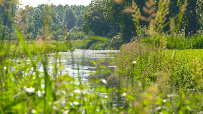 De rivier de Aa waar Ine elke dag in gaat zwemmen.