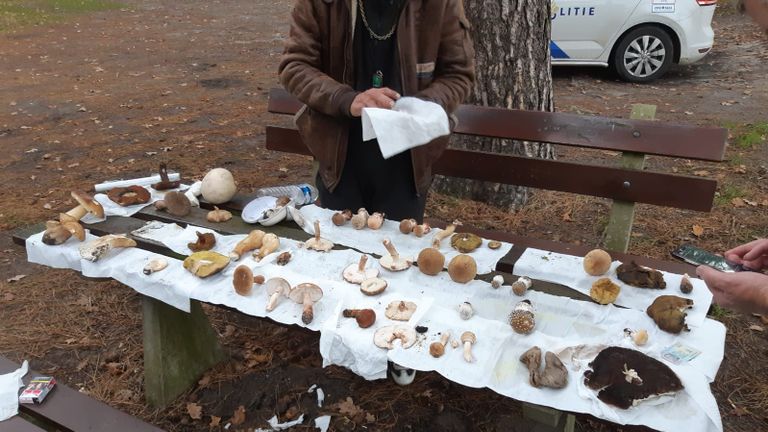 Een onderschepte hoeveelheid paddenstoelen (foto: Erik de Jonge).