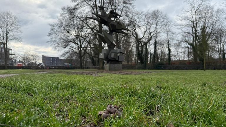 Het kunstwerk staat nu tussen de drollen (foto: Robert te Veele).