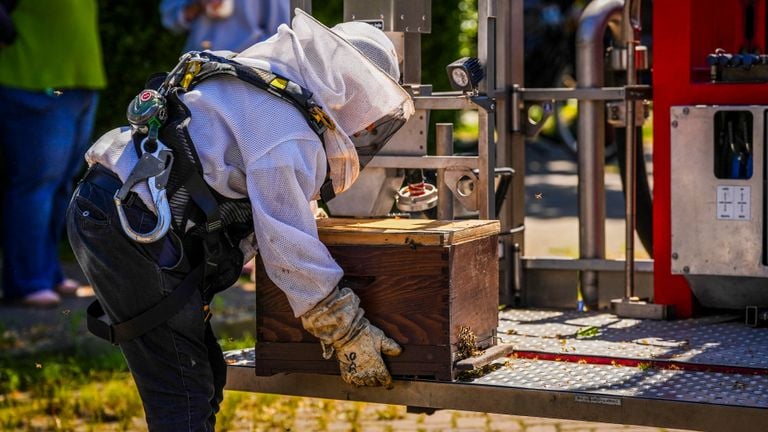(Foto: Persbureau Heitink)