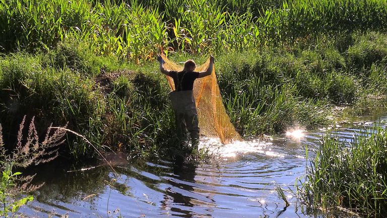 Netten moeten ervoor zorgen dat de vissen niet in de zijsloten zwemmen (foto: Tessel Linders).