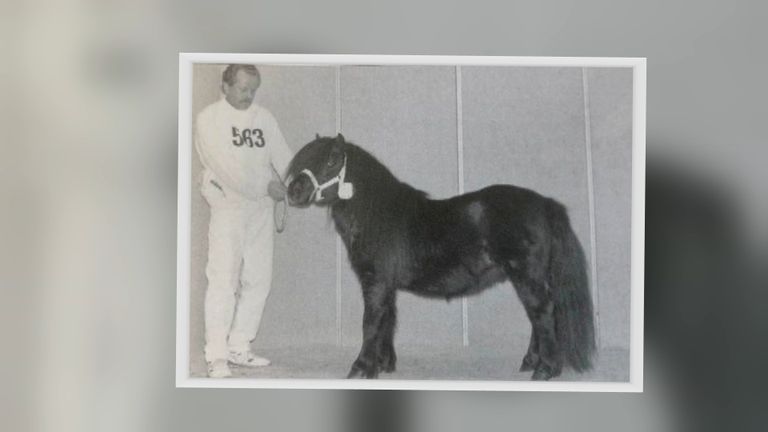 Diefstal stokoude pony doet Hans pijn