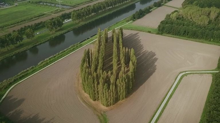 De Groene Kathedraal in Almere (foto: Omroep Flevoland).