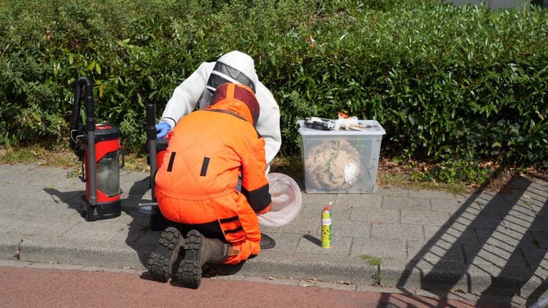 Foto: Erik Haverhals/Persbureau Heitink.