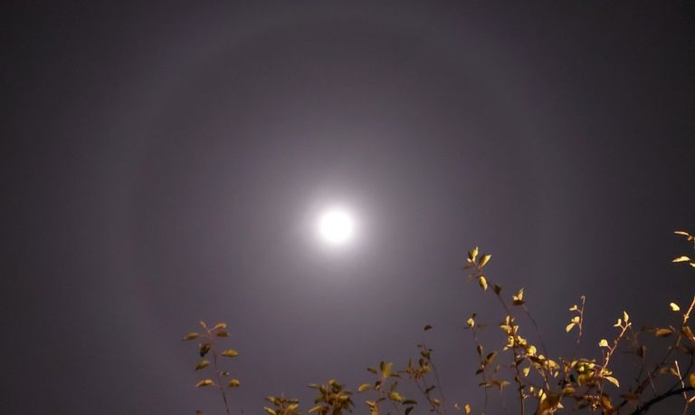 Een halo rond de maan (foto: Sylvia).