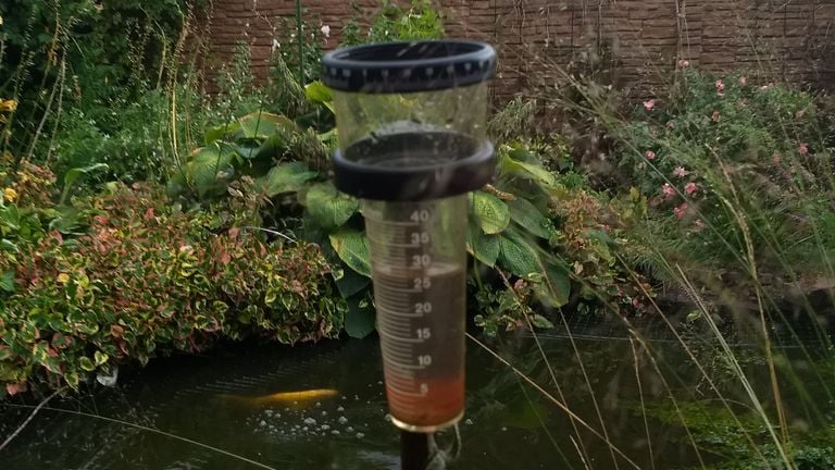 Een zo goed als volle regenmeter in Sint Anthonis (foto: Marja van de Mortel) 