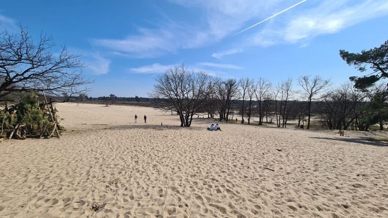 De Loonse en Drunense Duinen (foto: Noël van Hooft).