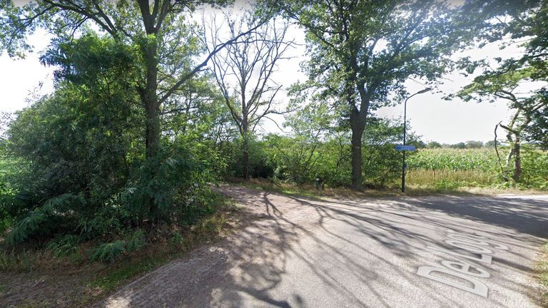 De dode werd gevonden in een uitgebrande auto aan de Lage Logtsedijk in Oisterwijk (foto: Google Streetview).