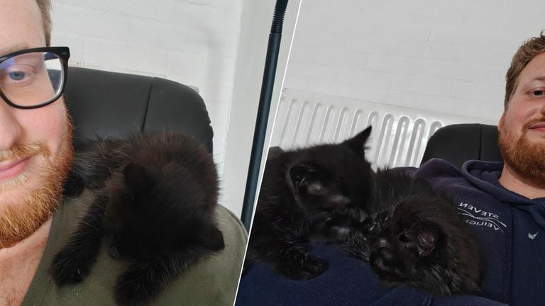 De kittens kruipen graag tegen Steven aan (foto: Steven Groen).