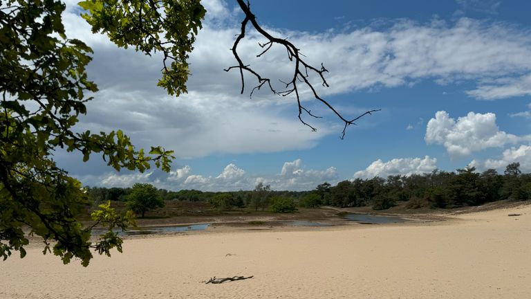 Loonse en Drunense Duinen (foto: Frans Kapteijns).