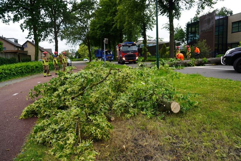 Omgevallen boom in Dongen (foto: Jeroen Stuve/SQ Vision).