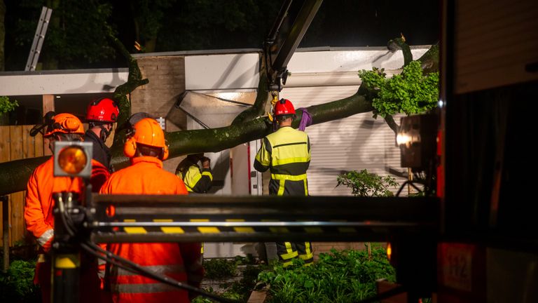 In Ossendrecht kwam door het noodweer een boom op een huis terecht (foto: Christian Traets).
