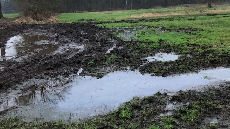 Hier zullen in de lente geen bloemen bloeien (foto: Erik Schram).