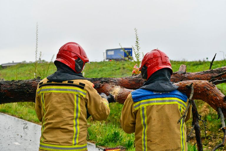 Twee bomen omgewaaid in Valkenswaard (foto: Rico Vogels/SQ Vision).