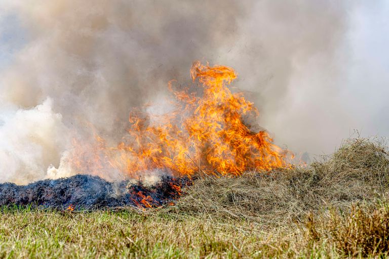 Bij de brand in Den Hout ging een groot deel van het net gemaaide gras in rook op (foto: Marcel van Dorst/Eye4Images).