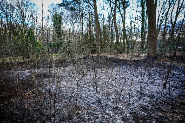 De gevolgen van het bosbrandje (foto: Persbureau Heitink).