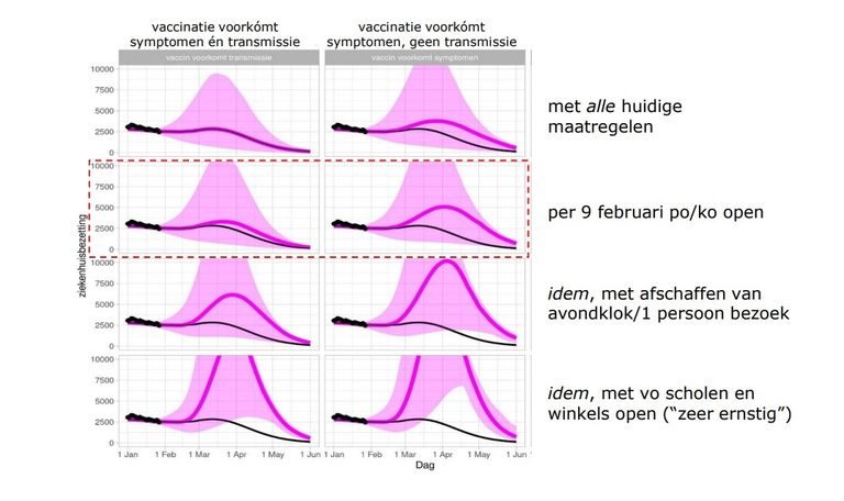 Bedbezetting in de ziekenhuizen. Roze lijn: de meest realistische verwachting (bron: RIVM)