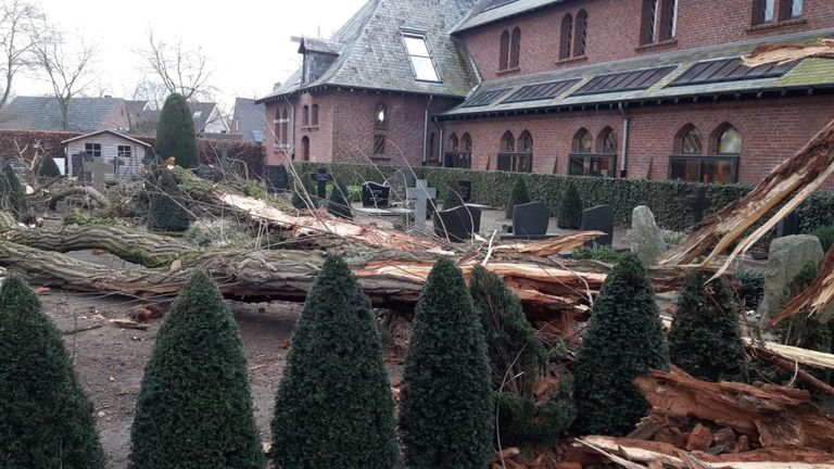 Deze boom viel om op een kerkhof in Esbeek