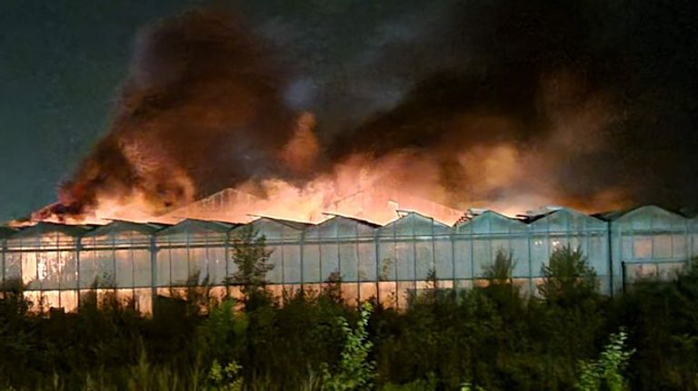 Grote rookwolken boven het brandende kassencomplex (foto: politie Basisteam Weerijs).