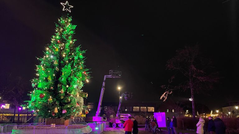 De enorme kerstboom in Prinsenbeek (foto: Remco Beekers).