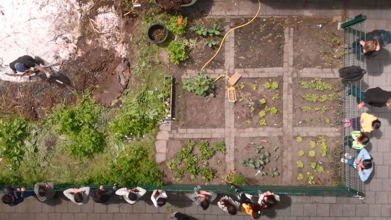 Moestuin van boven op de Algemene School Oost (beeld: Provincie Noord-Brabant).