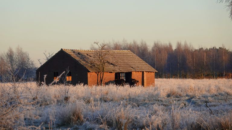 Foto: Ben Saanen. 