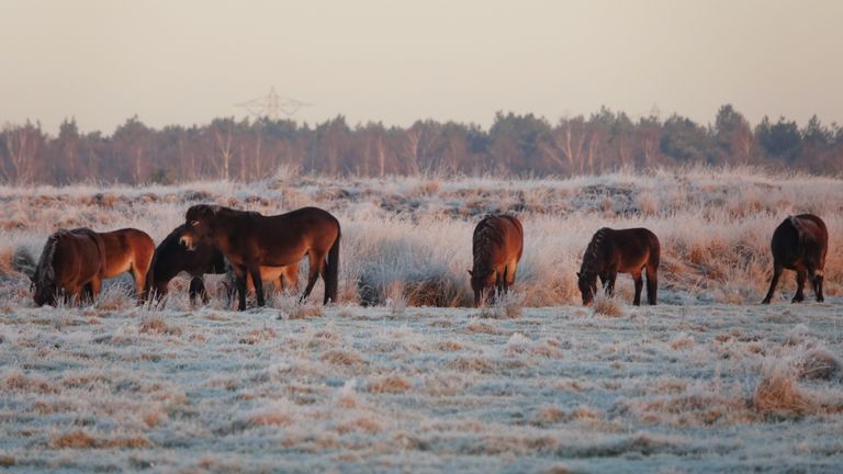 Foto: Ben Saanen. 