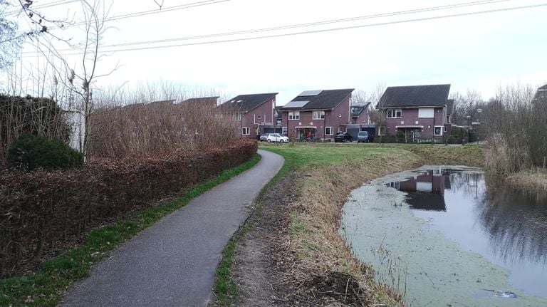 Op deze plek in het parkje werd Vigo mishandeld (foto: Ferenc Triki)