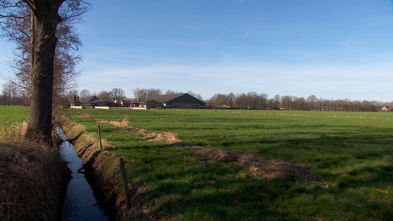 Zo ziet het gebied er nu uit. (foto: Omroep Brabant).