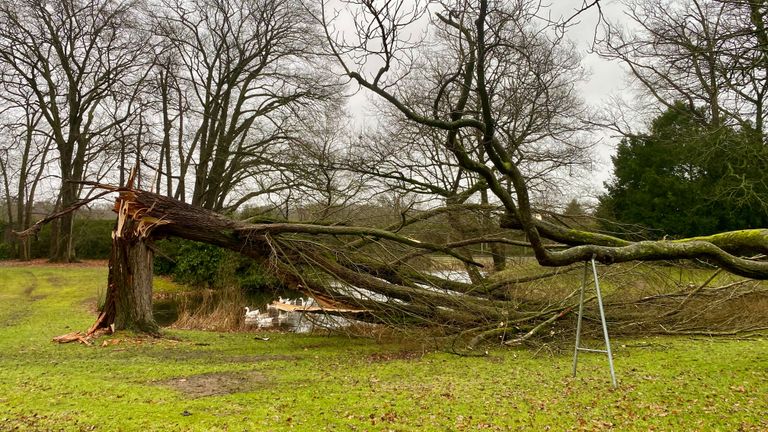 Foto: Jan Peels.