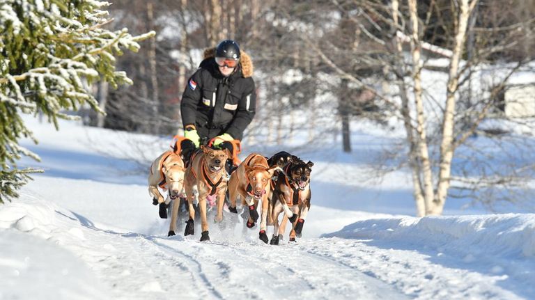 Stefan in actie in Noorwegen (foto: Beeld Tartok Speed).