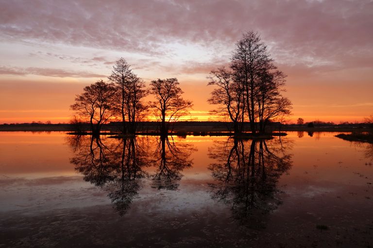 Een fraai plaatje. Foto: Ben Saanen.