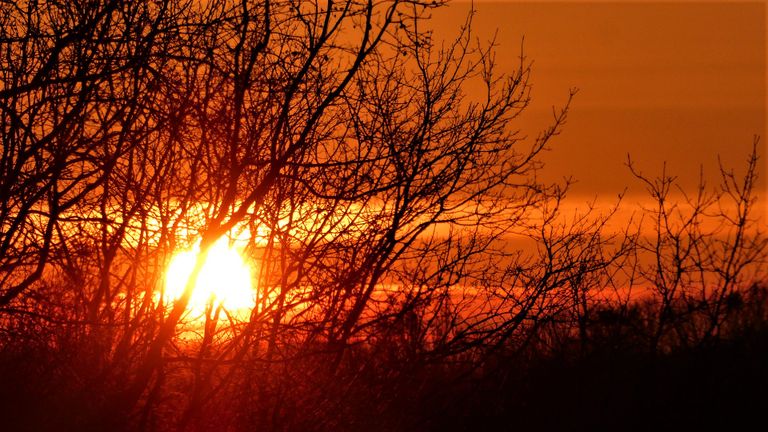 Een mooie zonsopkomst in Waalwijk. Foto: Martha Kivits.