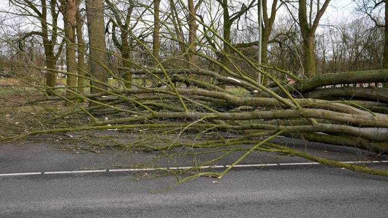 Storm Eunice houdt ook flink huis rond de Hescheweg  in Oss (foto: Gabor Heeres/SQ Vision).