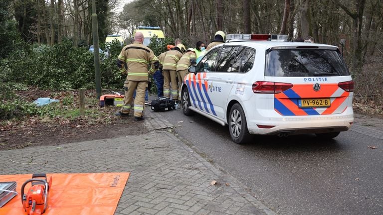 Verschillende hulpdiensten werden opgeroepen na het omvallen van de boom in Boekel (foto: Marco van den Broek/SQ Vision).