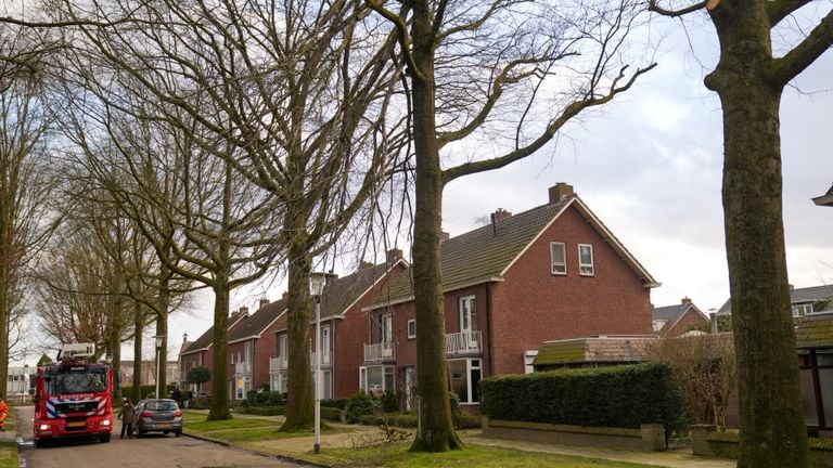 Afgewaaide takken op de Professor Dondersstraat in Helmond (foto: Harrie Grijseels/SQ Vision).