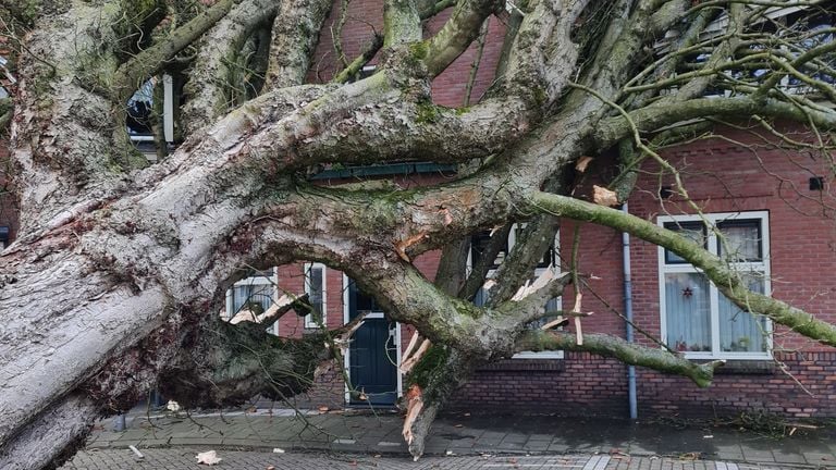 Het was flink schrikken op het Rubens plein in Tilburg vrijdagmiddag (foto: Paul Schellings).