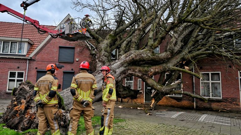 De brandweer verwijderde de boom op het huis aan het Rubensplein in Tilburg (foto: Toby de Kort/SQ Vision).