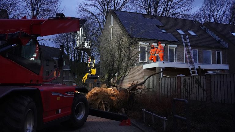 In Rijen viel een boom tegen een huis (foto: Jeroen Stuve/SQ Vision).