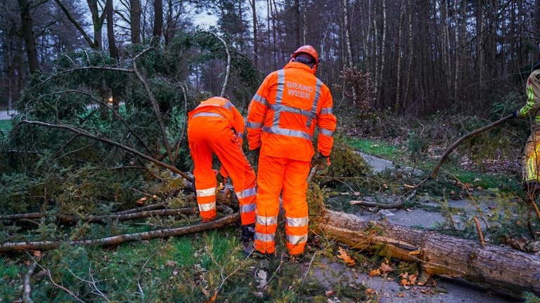 Een boom viel op het fietspad langs de Somerenseweg in Heeze (foto: Dave Hendriks/SQ Vision).