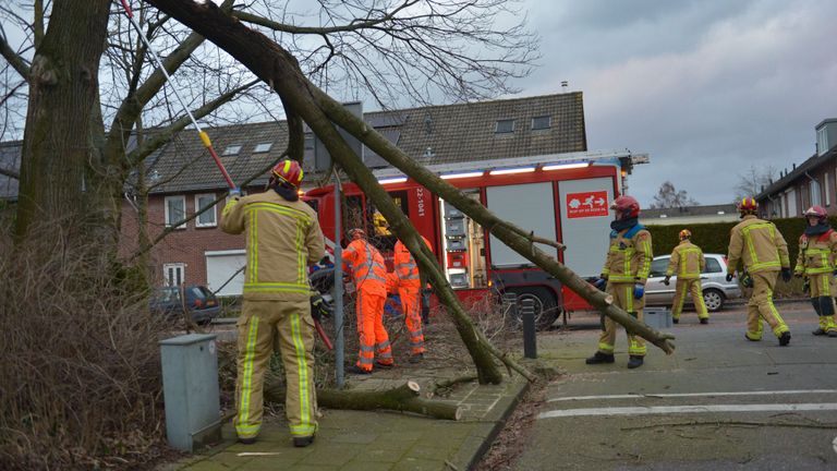 De brandweer werd opgeroepen vanwege de boom in Asten (foto: Walter van Bussel/SQ Vision).