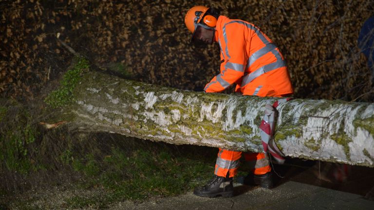 De brandweer verwijderde de boom van de straat in Deurne (foto: Walter van Bussel/SQ Vision).