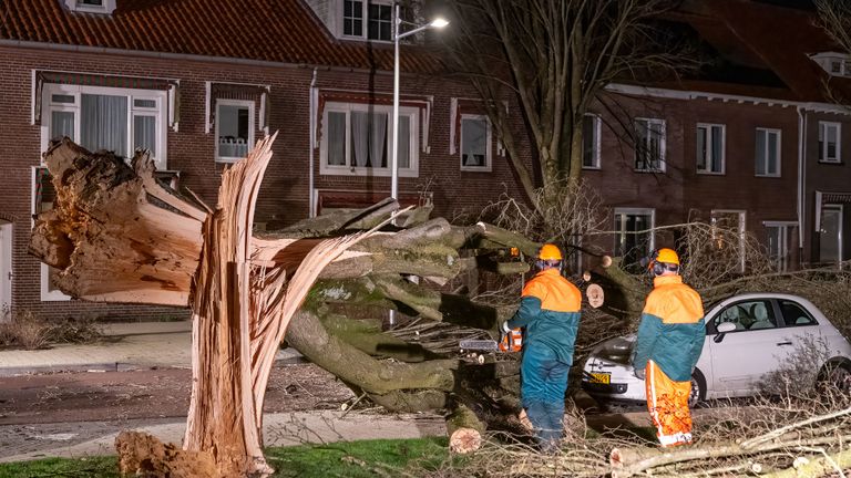 Een auto aan de Hovenseweg liep flinke schade op toen een boom daar bovenop belandde (foto: Iwan van Dun/SQ Vision).