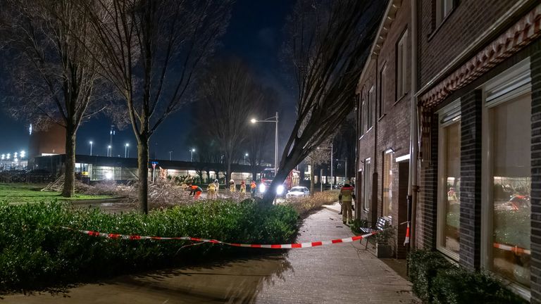 Een boom aan de Hovenseweg in Tilburg belandde tegen een huis (foto: Iwan van Dun/SQ Vision).