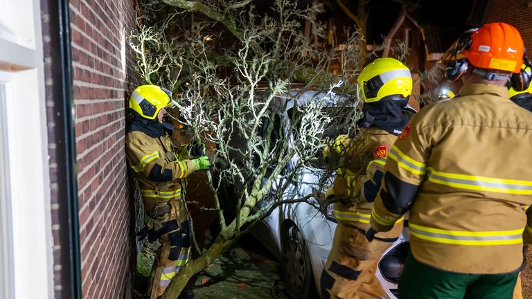 De brandweer verwijderde de flinke tak van de auto in Oss (foto: Gabor Heeres/SQ Vision).