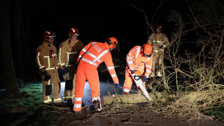 De brandweer zaagde de boom die de Kwadestraat in Breugel blokkeerde in stukken (foto: Sander van Gils/SQ Vision).