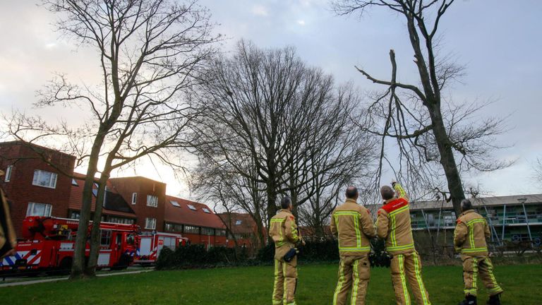 De brandweer bij de afgebroken tak aan de Apeldoornstraat in Eindhoven (foto: Arno van der Linden/SQ Vison).