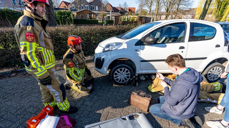 De hond zat met het achterpootje vast (foto: Marcel van Dorst/SQ Vision).