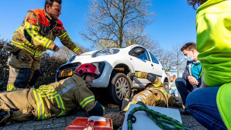 Een dierenarts heeft de hond verdoofd  (foto: Marcel van Dorst/SQ Vision).