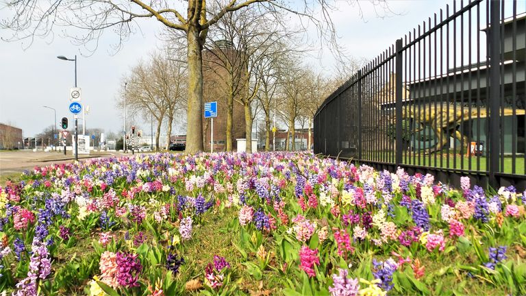 Foto: Henk Voermans